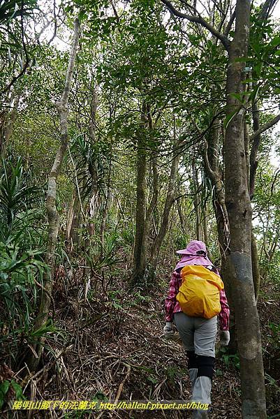 P1450748.jpg P1450748.jpg