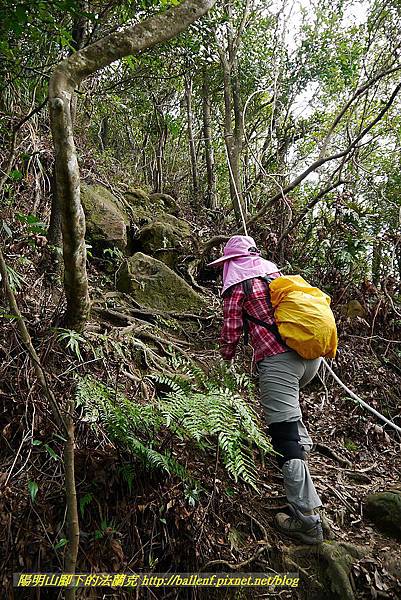 P1450749.jpg P1450749.jpg