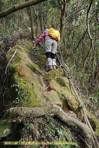 P1450750.jpg P1450750.jpg