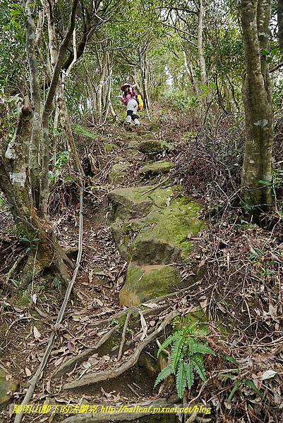 P1450752.jpg P1450752.jpg