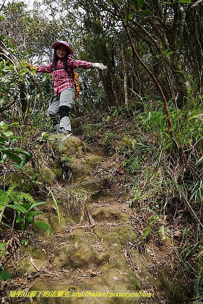 P1450753.jpg P1450753.jpg