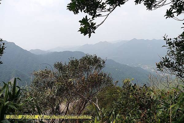 P1450754.jpg P1450754.jpg