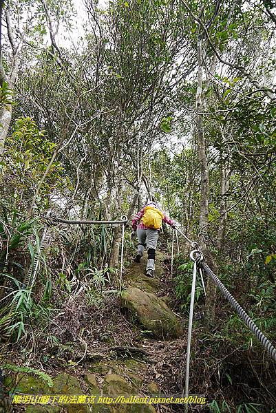 P1450755.jpg P1450755.jpg