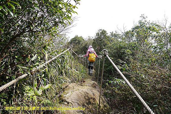 P1450756.jpg P1450756.jpg