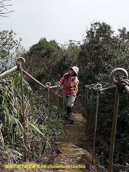 P1450757-1.jpg P1450757-1.jpg