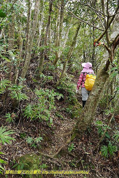 P1450765.jpg P1450765.jpg