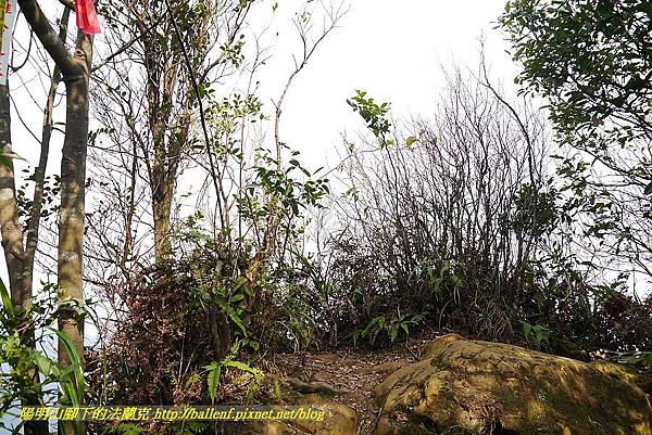 P1450766.jpg P1450766.jpg