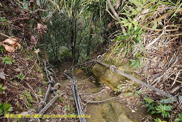 P1450768.jpg P1450768.jpg