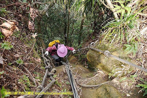 P1450769.jpg P1450769.jpg