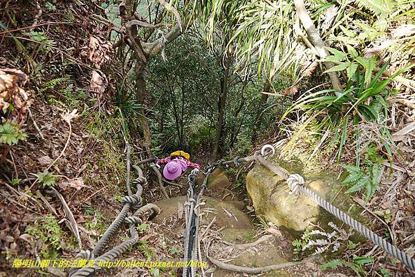 P1450770.jpg P1450770.jpg