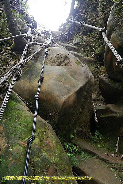 P1450772.jpg P1450772.jpg