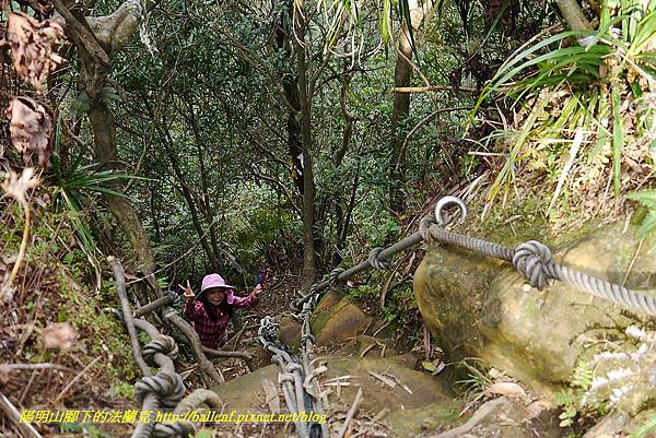 P1450771.jpg P1450771.jpg