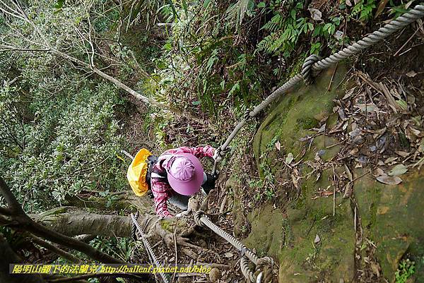 P1450782.jpg P1450782.jpg