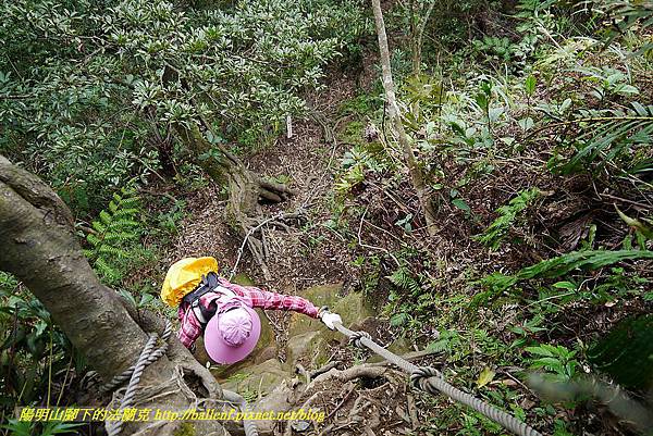 P1450783.jpg P1450783.jpg