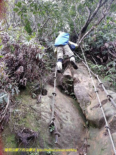 P1450784-1.jpg P1450784-1.jpg