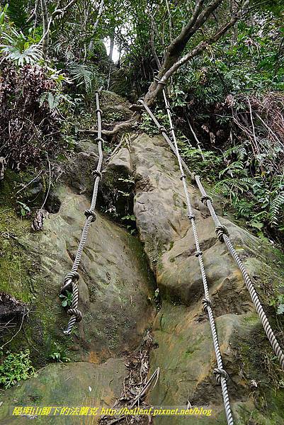 P1450784.jpg P1450784.jpg