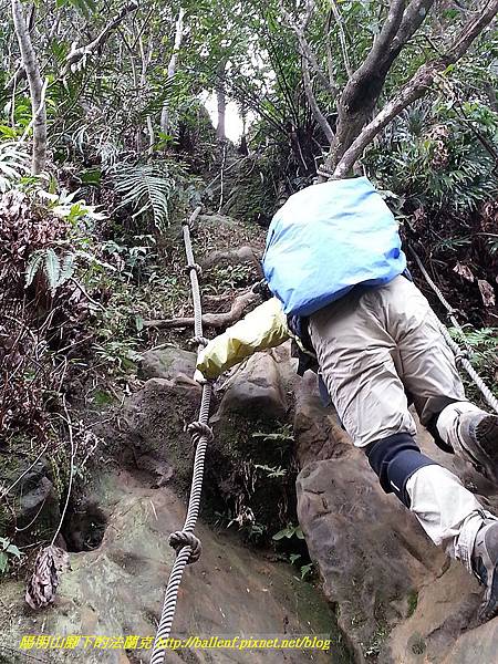 P1450784-2.jpg P1450784-2.jpg