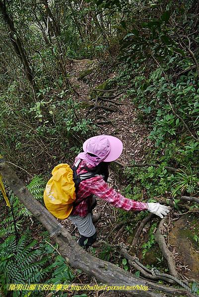 P1450785.jpg P1450785.jpg