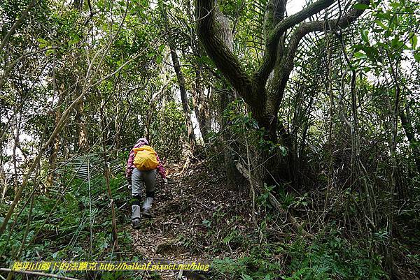 P1450787.jpg P1450787.jpg