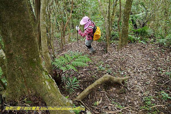 P1450792.jpg P1450792.jpg