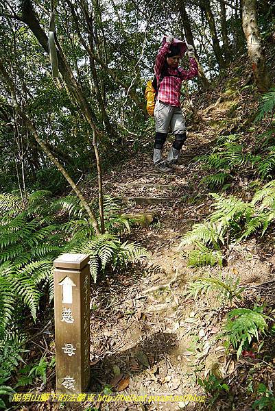 P1450795.jpg P1450795.jpg