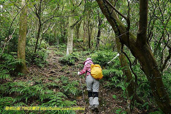 P1450794.jpg P1450794.jpg