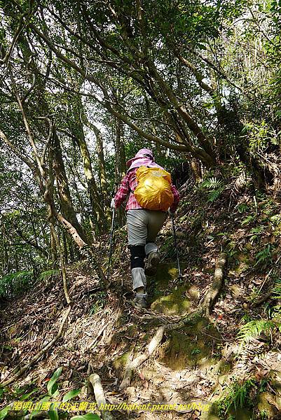 P1450797.jpg P1450797.jpg