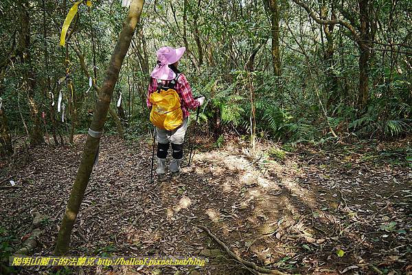 P1450798.jpg P1450798.jpg