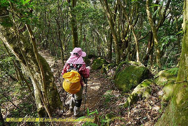 P1450804.jpg P1450804.jpg