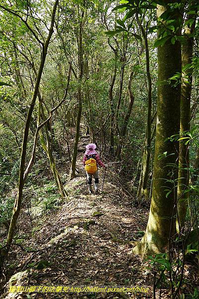 P1450805.jpg P1450805.jpg