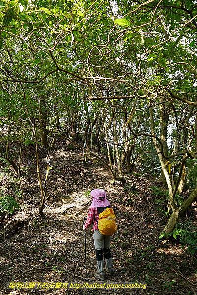 P1450808.jpg P1450808.jpg