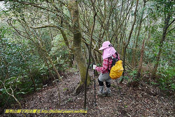 P1450811.jpg P1450811.jpg