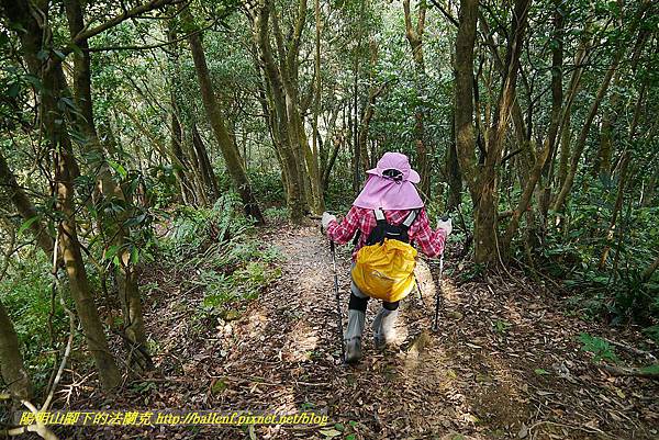 P1450812.jpg P1450812.jpg