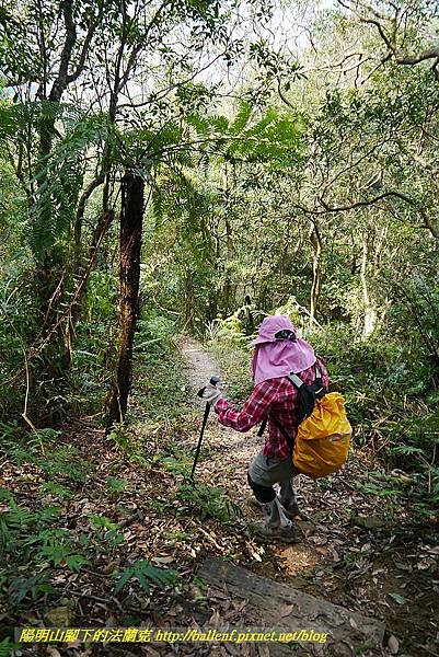 P1450813.jpg P1450813.jpg