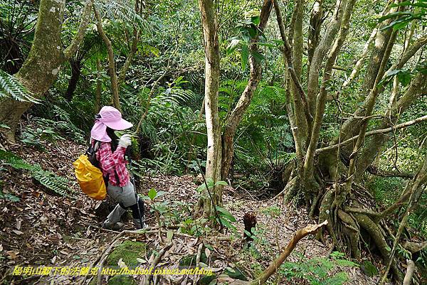 P1450814.jpg P1450814.jpg