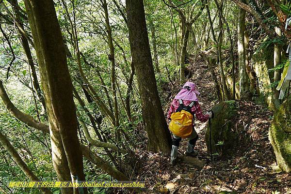 P1450817.jpg P1450817.jpg