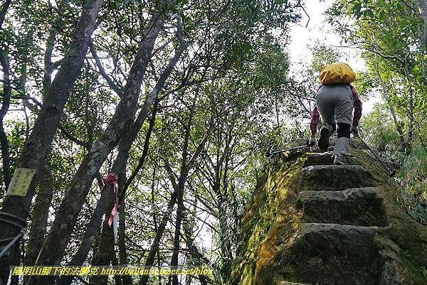 P1450822.jpg P1450822.jpg