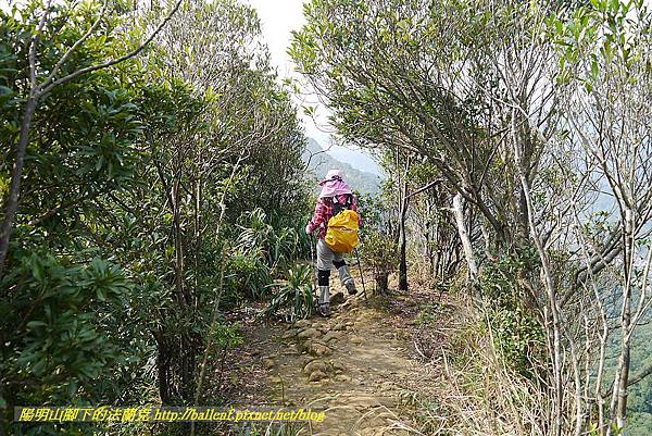 P1450823.jpg P1450823.jpg