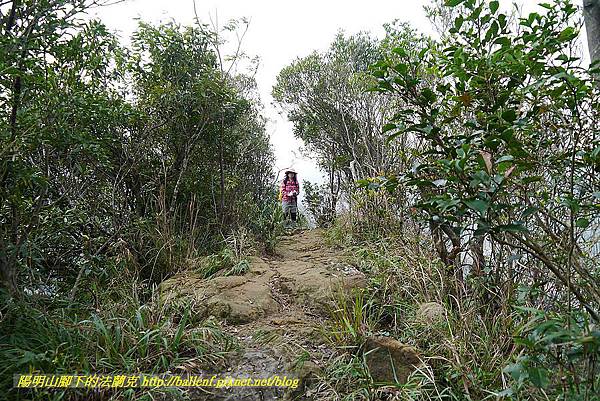 P1450826.jpg P1450826.jpg