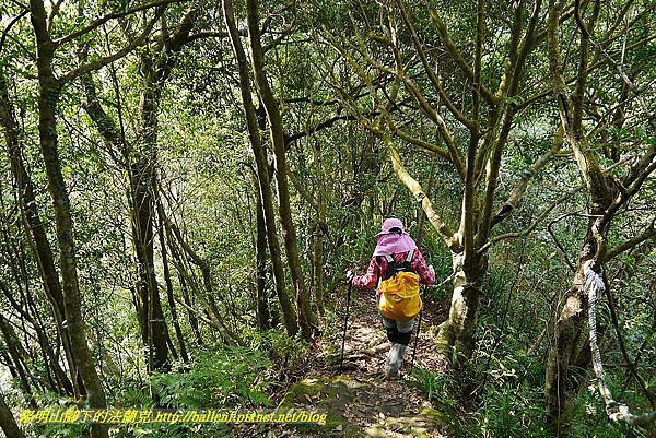 P1450830.jpg P1450830.jpg