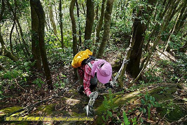 P1450831.jpg P1450831.jpg