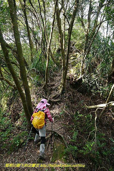 P1450833.jpg P1450833.jpg