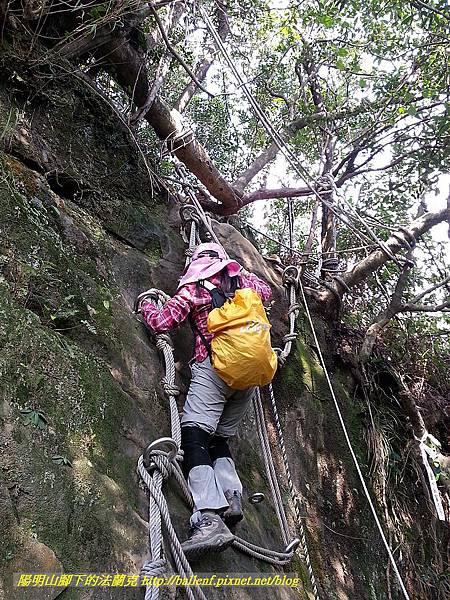 P1450836-1.jpg P1450836-1.jpg