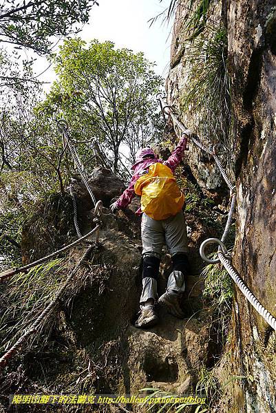 P1450840.jpg P1450840.jpg