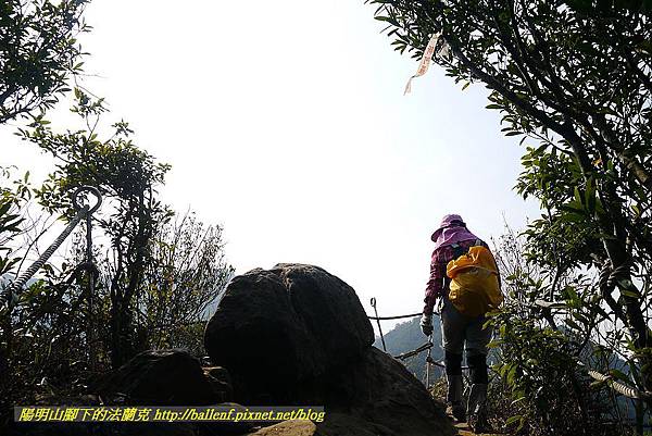 P1450841.jpg P1450841.jpg