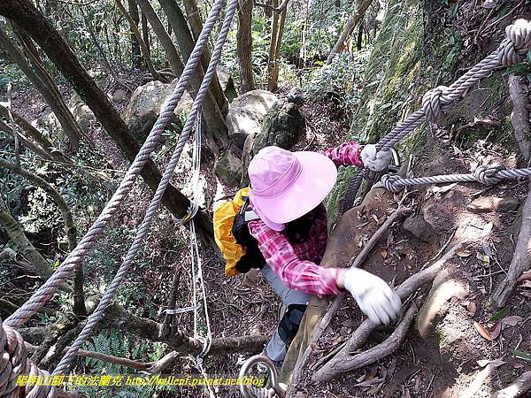 P1450845-1.jpg P1450845-1.jpg