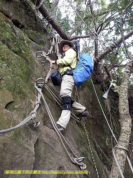 P1450845-2.jpg P1450845-2.jpg