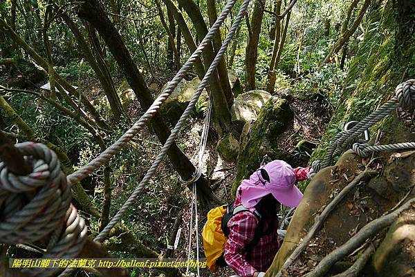 P1450846.jpg P1450846.jpg