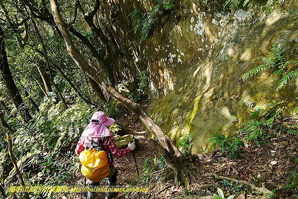 P1450848.jpg P1450848.jpg