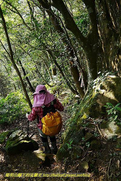 P1450849.jpg P1450849.jpg